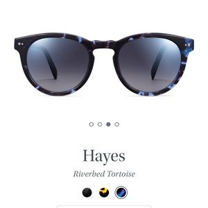 Warby Parker Hayes polarized sunglasses